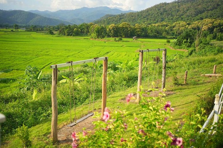 รีวิวเมืองคอง