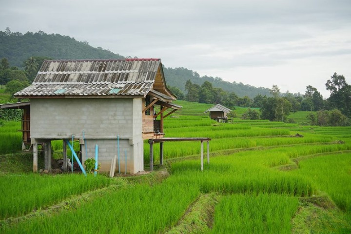 รีวิวป่าบงเปียง