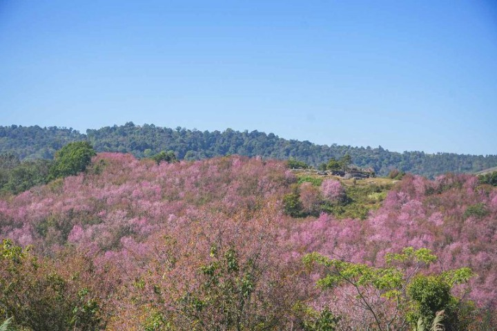 รีวิวภูลมโล