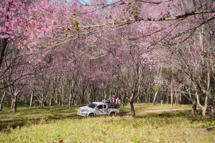 รีวิวภูลมโล