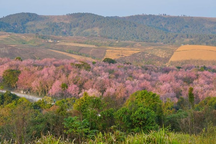 รีวิวภูลมโล