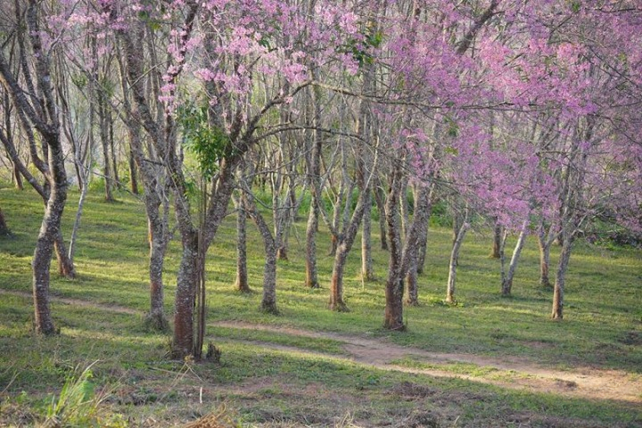 รีวิวภูลมโล