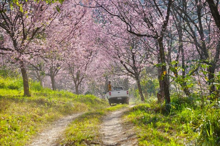 รีวิวภูลมโล